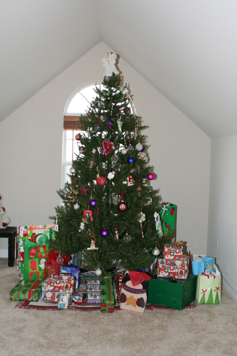 2011-12-25-Christmas-301.jpg